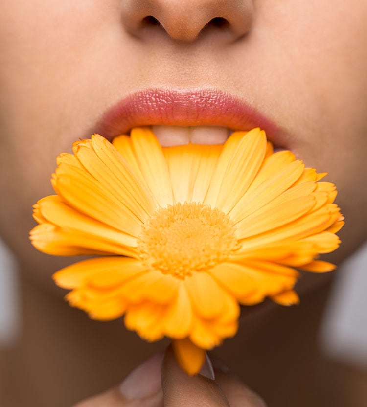 <h2 class="favorite">PICK YOUR FAVORITE FLOWER FOR A NATURAL, PRETTY SHINE</h2>