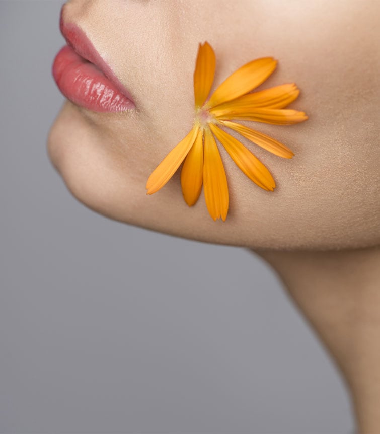 <div class="limited eyebrow">Available for a limited time only</div>
<h2 class="limited">rosy, blooming<br>
lips and cheek</h2>