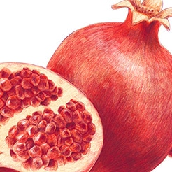 Pomegranate